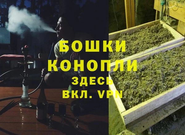 ПСИЛОЦИБИНОВЫЕ ГРИБЫ Покровск