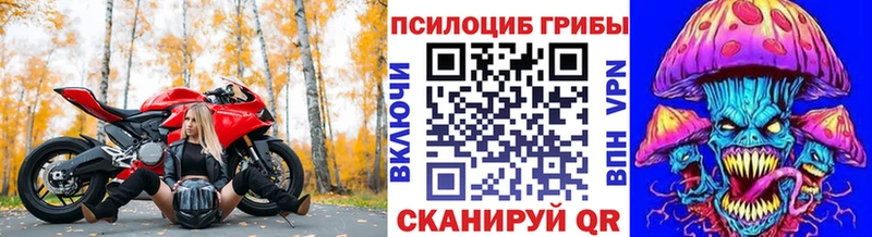 Псилоцибиновые грибы GOLDEN TEACHER  Купить где  Струнино